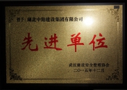 武漢建設安全管理協會先進單位