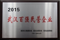 2015年武漢百強民營企業