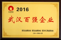 2016武漢百強企業(yè)